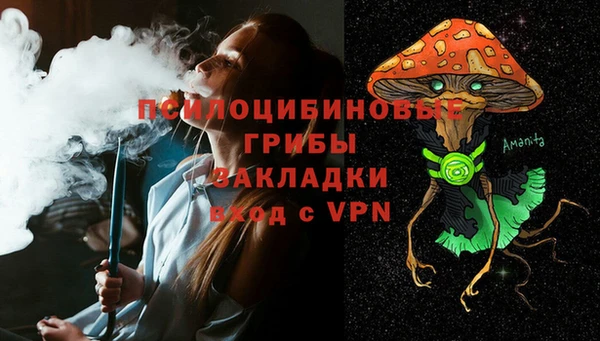 ПСИЛОЦИБИНОВЫЕ ГРИБЫ Белокуриха