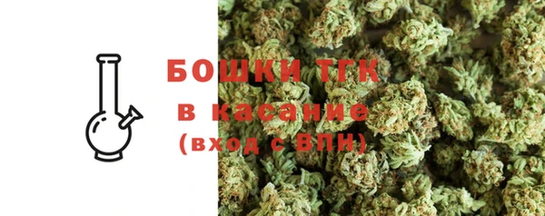 ПСИЛОЦИБИНОВЫЕ ГРИБЫ Белокуриха