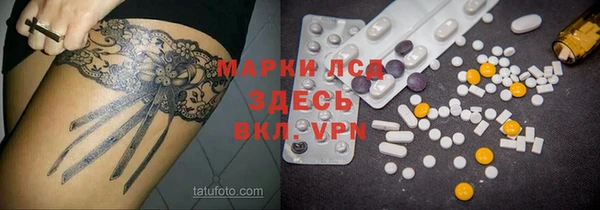 ПСИЛОЦИБИНОВЫЕ ГРИБЫ Белокуриха