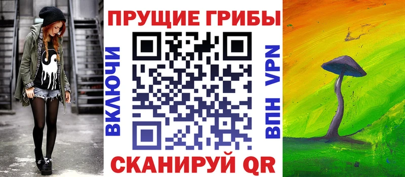 Галлюциногенные грибы Psilocybine cubensis Коряжма